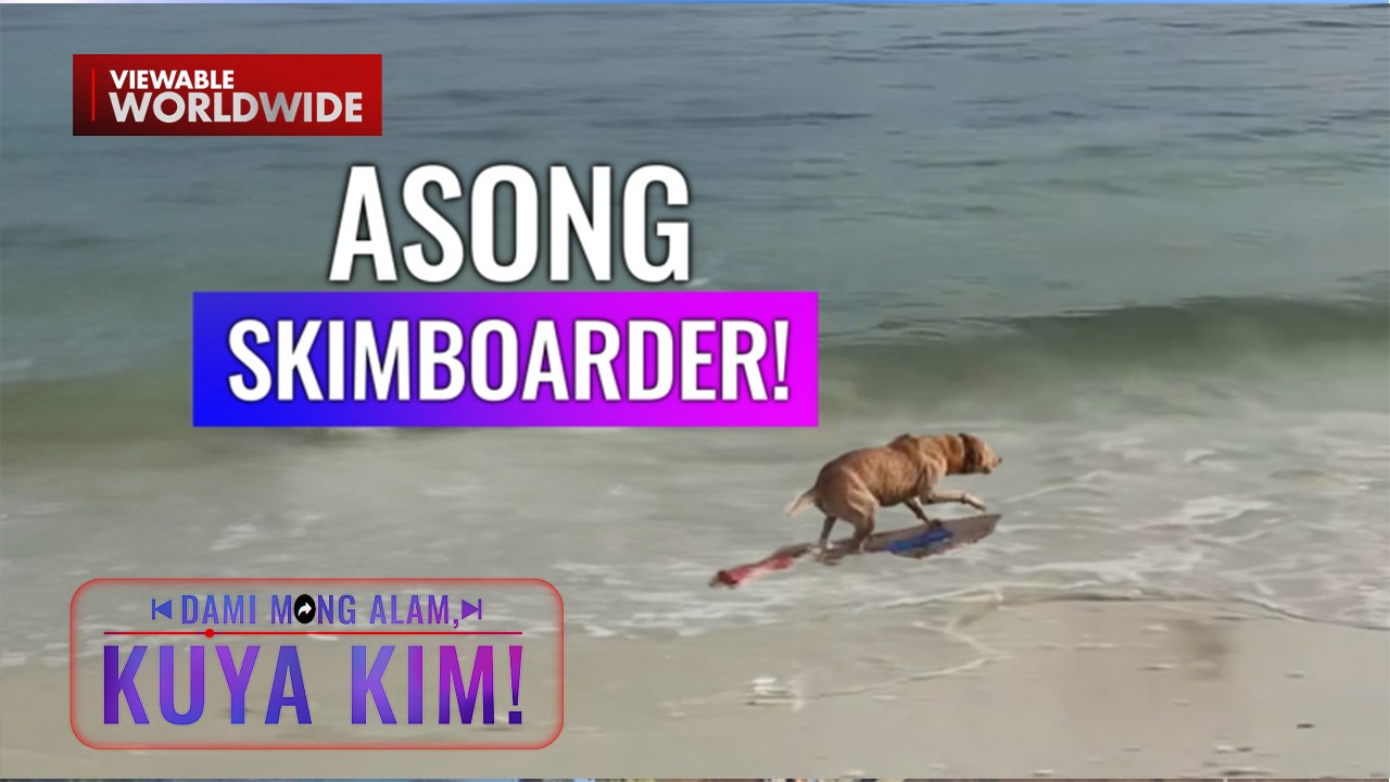 6-year-old na aso, skimboarding ang hobby?! | Dami Mong Alam, Kuya Kim!