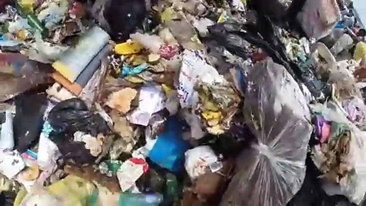 Buzo En El Vertedero Duquesa