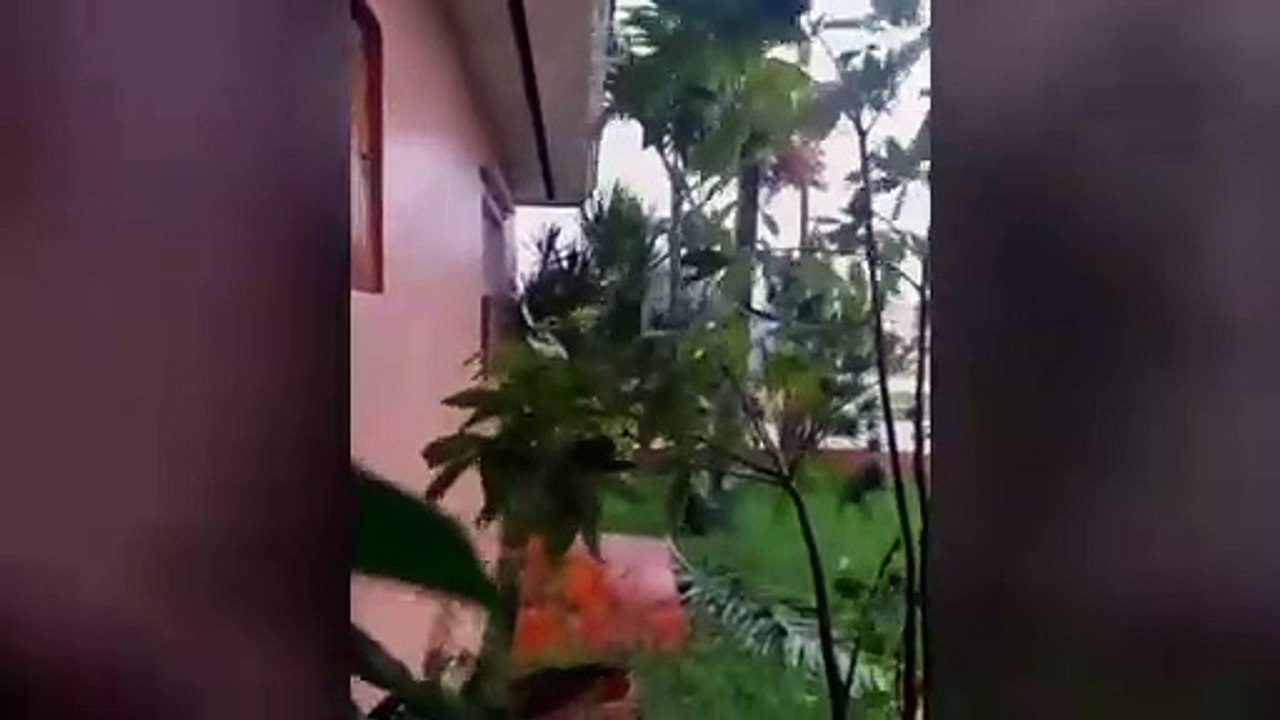 Irma en La Florida