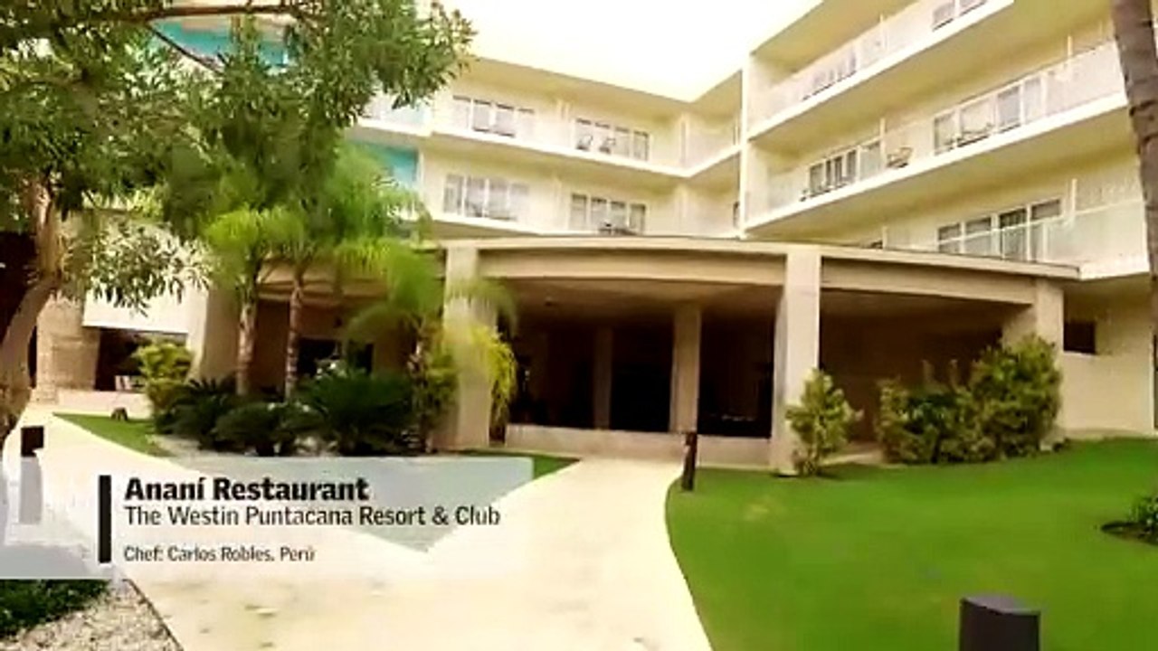 Anani. PUNTACANA