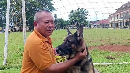 Kasat Sabhara Polres Purwakarta AKP Novian Yuga Prama saat Melatih Salah Satu Anjing Pelacak K9