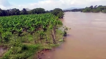 Puente sobre el río Yuna, Villa La Mata