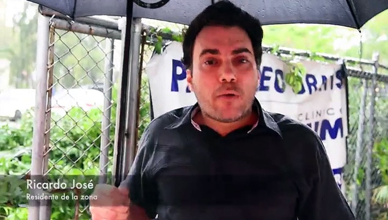 Denuncia corte de árbol