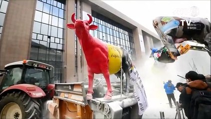 Cubren Consejo Europeo con kilos de leche en polvo