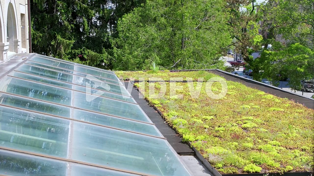 The eco-friendly roof of the Bangor public library