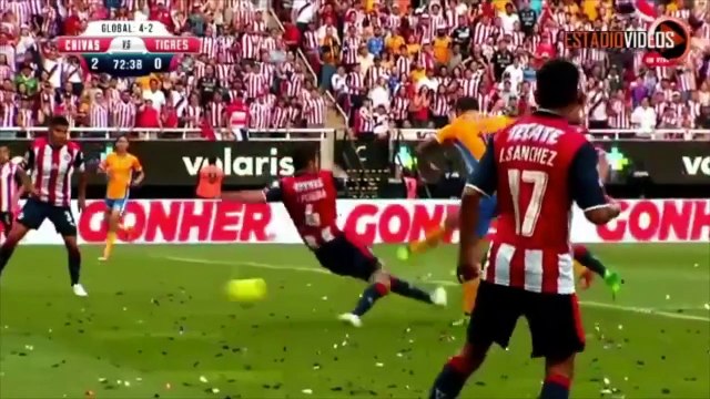 Cibao Fc Contra Las Chivas Rayadas De Guadalajara