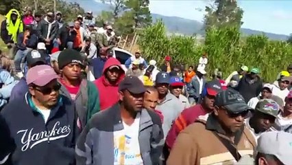 Agricultores de Valle Nuevo