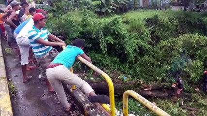 Puente La Guama, San Cristobal