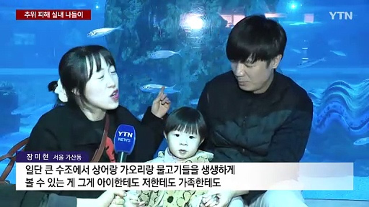 추위에 모두 실내로...푸른 바다 재현한 아쿠아리움 / YTN