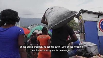 Deforestación en Haití para hacer carbón