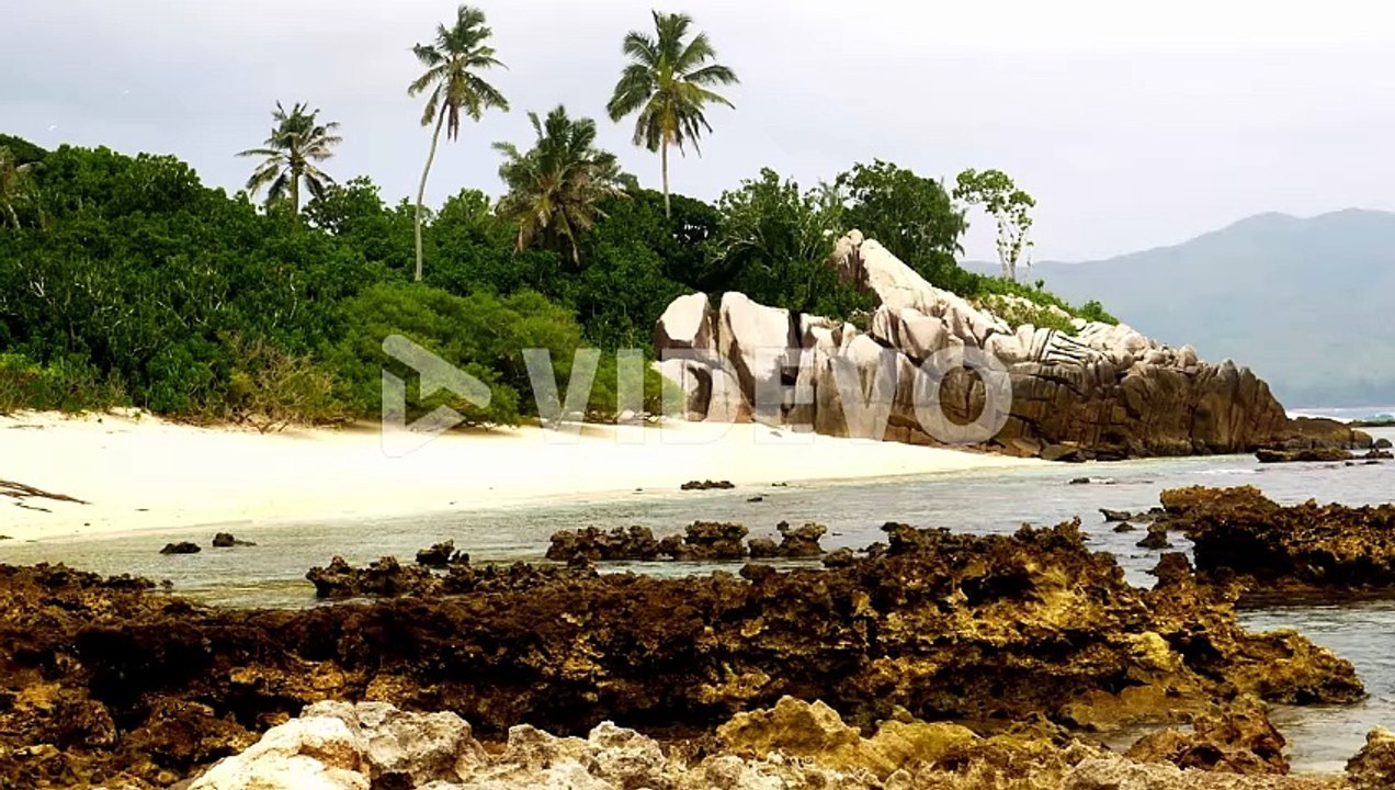 Shoreline of Cousin Island, Seychelles