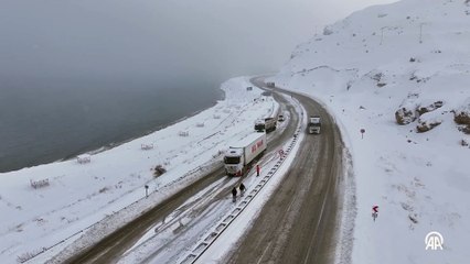Van'ın Gevaş ilçesinde etkili olan kar sonrası doğa tamamen beyaza büründü.