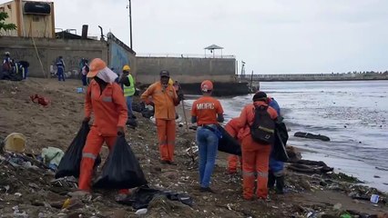 Basura En Litoral Sur, Redes
