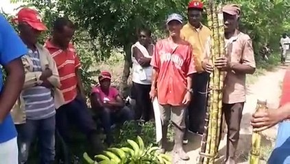 55 familias de campesinos denuncian amenazas para que abandonen propiedad