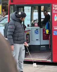 Funny dog in public _ sitting on top of strangers _ joker pranks latest _ strangers reactions