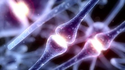 Conmociones cerebrales