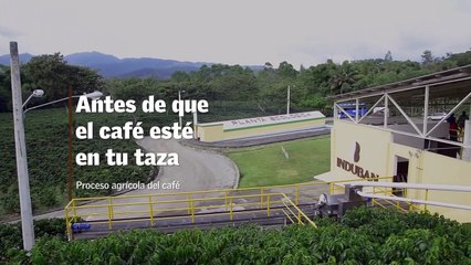 Antes de que el café esté en tu taza