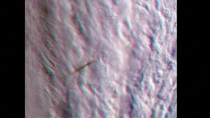 La Nasa difunde fotos del gran meteorito que nadie vio