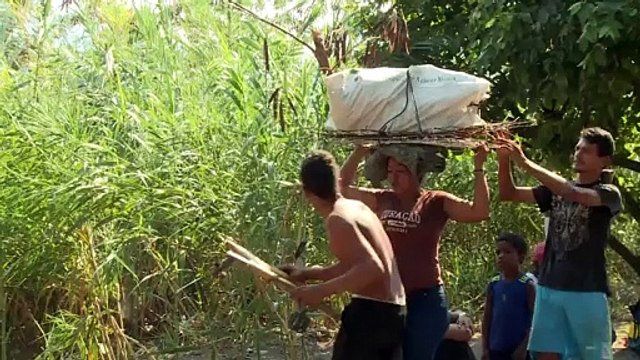 Mercaderes de miseria en los cruces fronterizos con Venezuela