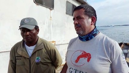 Hallan en Ecuador tortuga gigante que se consideraba extinta