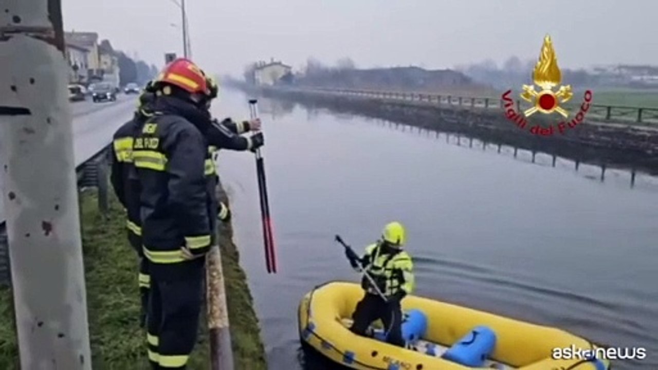 Un lupo finisce nel Naviglio nel Milanese, salvato