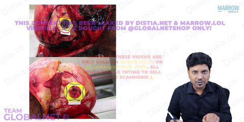 12.Intermediate & Terminal Ballistics