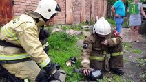 Bomberos rusos resucitan exitosamente a gato inconsciente