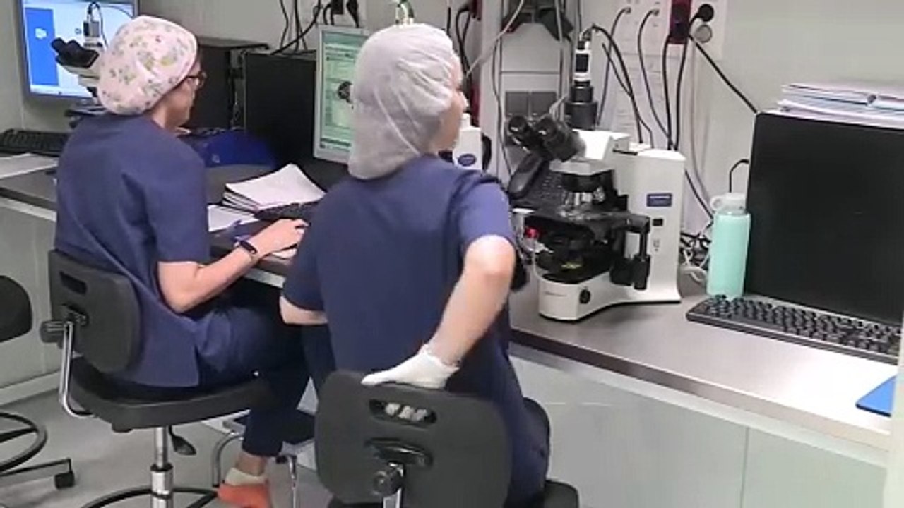 Laboratorio