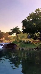 Shire Tales Report: Discover the Latest Insights and Stories 🏞️