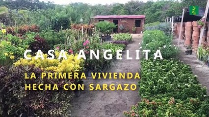 Casa Angelita, la primera casa fabricada con sargazo