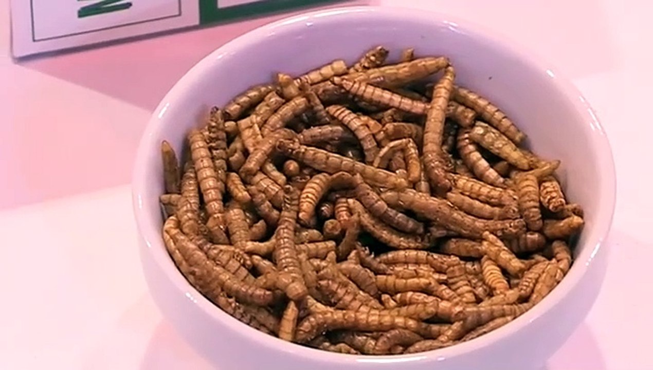 Harina de insectos y helados de grillos contra escasez alimenticia