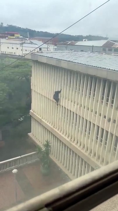 La fuga spettacolare del ladro Spider-Man dal tribunale arrestato di Johannesburg. Il video