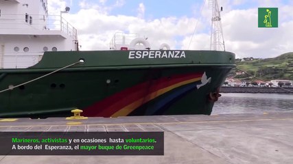 Marineros y activistas en el mayor barco de Greenpeace