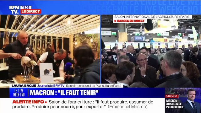 Salon de l'agriculture: Les présidents passent, le porc noir de Bigorre reste , remarque avec un trait d'humour cet éleveur du sud-ouest