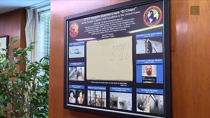 Ray Donovan, el jefe de la DEA obsesionado con capturar al Chapo Guzmán