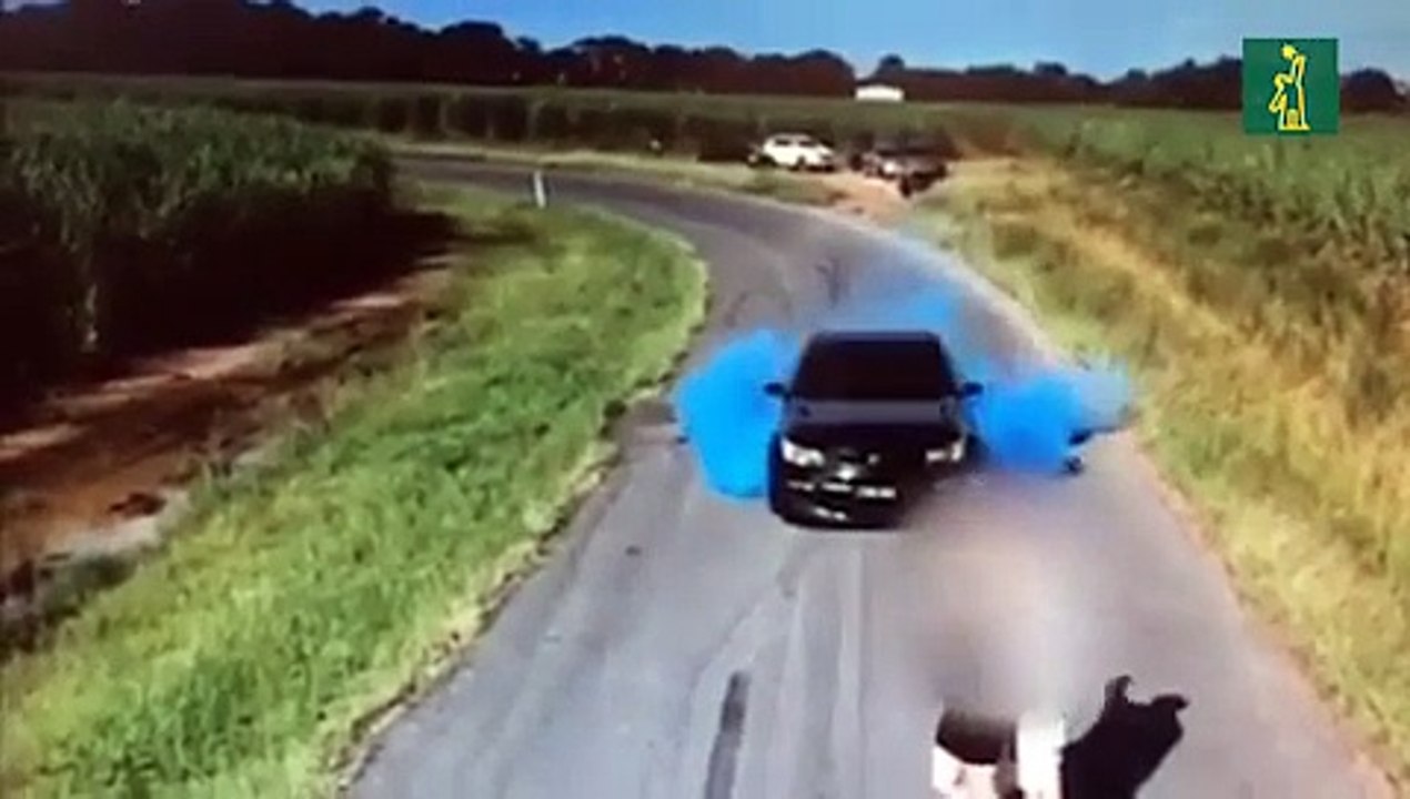 Fiesta para revelar sexo del bebé termina con carro incendiado y conductor arrestado