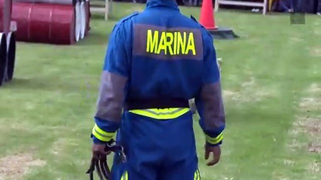 Se jubila Frida, la heroica perra rescatista de México