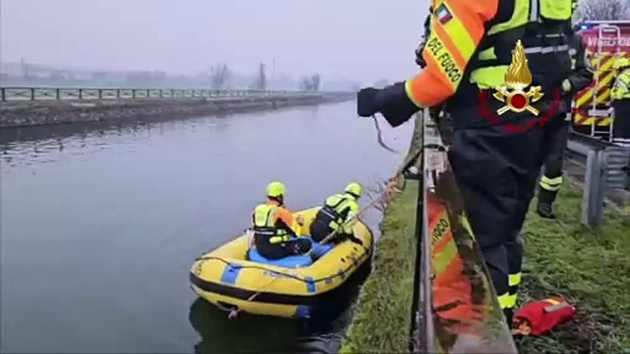 Un lupo finisce nel Naviglio Grande, il video del salvataggio dei vigili del fuoco