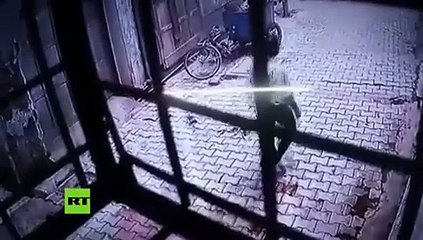 Un Grupo De Monos Atacó A Un Hombre Que Volvía A Su Casa En Localidad De Vrindavan Uttar P