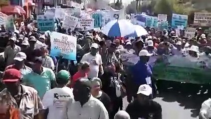 Whatsapp Video 2019-04-10 At 9.54.02 Am