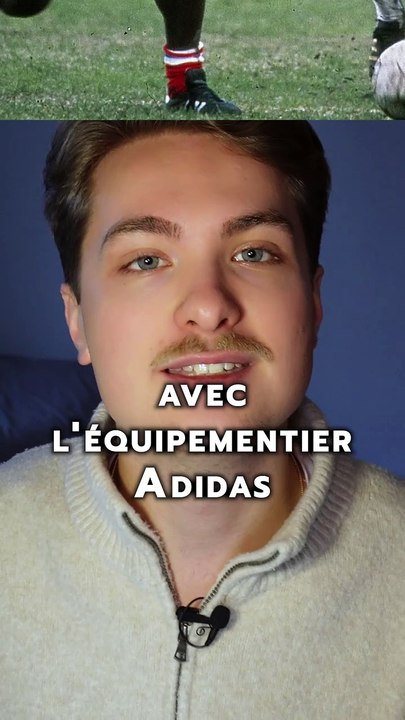 Qu'est-ce que la révolte des pinceaux ? 🖌