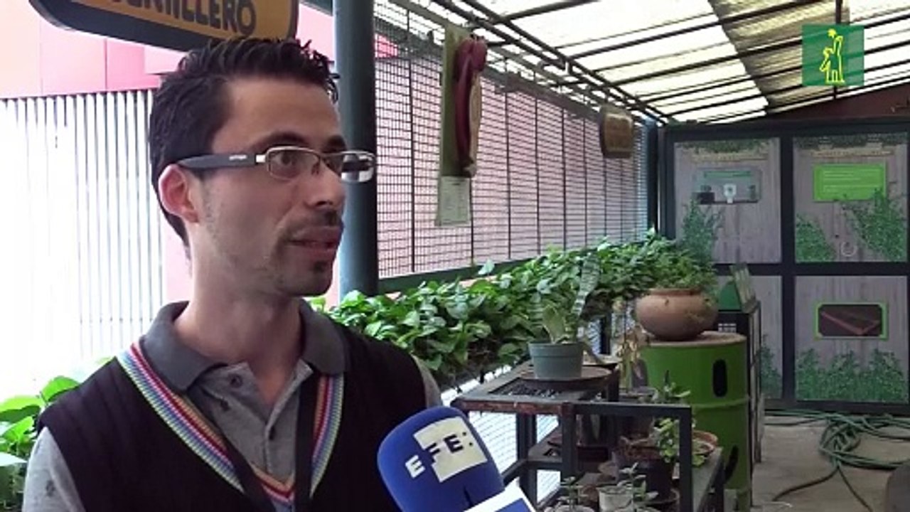 Museo infantil venezolano cierra debido a un robo de cables eléctricos