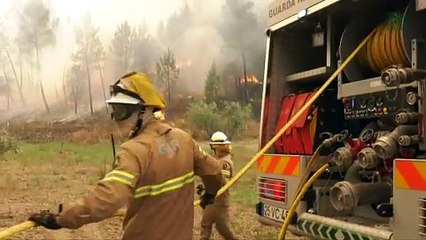 Se reanudan los incendios en Portugal a causa de los vientos
