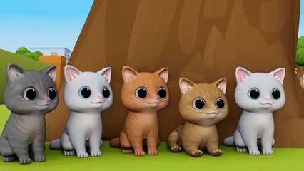 Meow Meow | Cats | Billi ke Bache | Cartoon Cat | Meowing Cat | Kittens | Videos of Cats