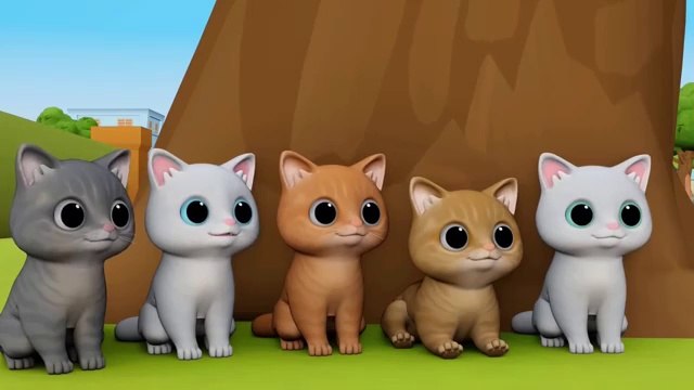 Meow Meow | Cats | Billi ke Bache | Cartoon Cat | Meowing Cat | Kittens | Videos of Cats