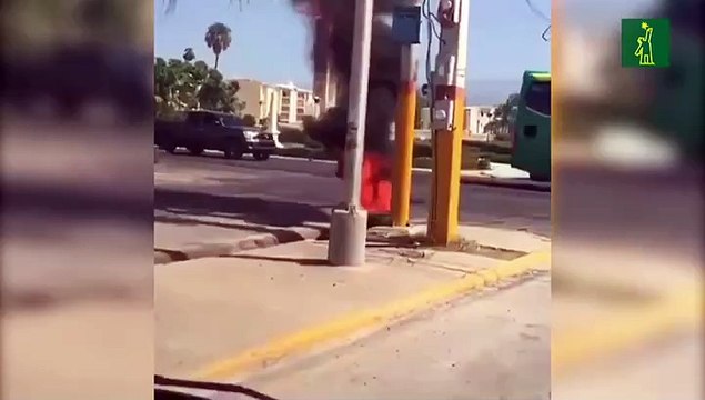 Enjambre de abejas ataca personas en provincia San Juan de la Maguana