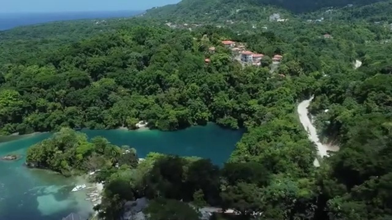 Life in Jamaica decomantry
