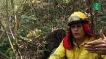 Evo Morales acepta ayuda internacional y suspende campaña por incendios forestales en Bolivia