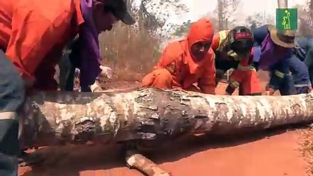 Tesón y voluntad marcaron a los bomberos voluntarios muertos en Bolivia