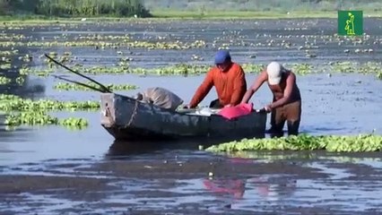 Honduras declara emergencia por grave falta de agua para consumo y agricultura